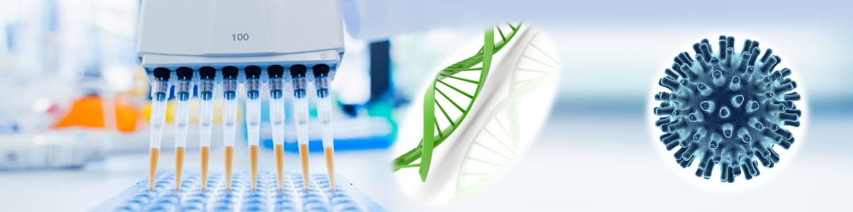 一步法唾液病毒RNA和DNA純化試劑盒 一步法唾液病毒RNA和DNA純化試劑盒