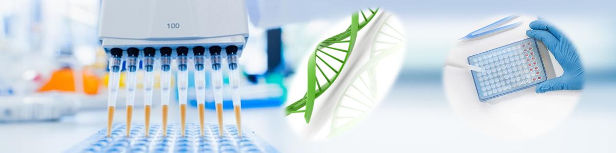 一步法NGS 純化試劑盒 一步法NGS 純化試劑盒