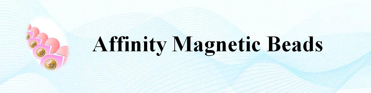 巰基磁珠 巰基磁珠