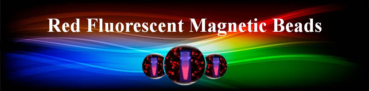 用于高靈敏度熒光測定的--蛋白A/G-銪熒光磁珠 用于高靈敏度熒光測定的--蛋白A/G-銪熒光磁珠