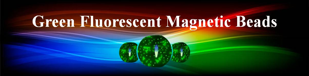 超高亮度蛋白L鋱熒光磁珠:克服傳統(tǒng)熒光團(tuán)的局限性 超高亮度蛋白L鋱熒光磁珠:克服傳統(tǒng)熒光團(tuán)的局限性
